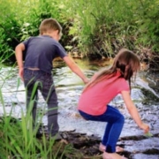 Parenting School Age Children in Michigan.
